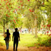 A couple walks through the tunnel at Delhi's Zoo