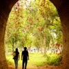 A couple walks through the tunnel at Delhi's Zoo - Image 2