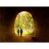 A couple walks through the tunnel at Delhi's Zoo - Image 3